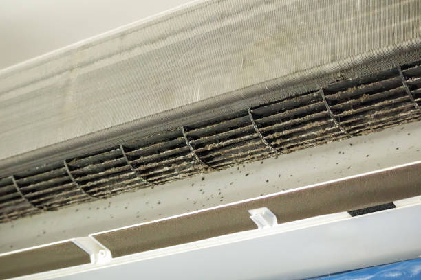 Best Affordable Duct Cleaning Services  in West Islip, NY